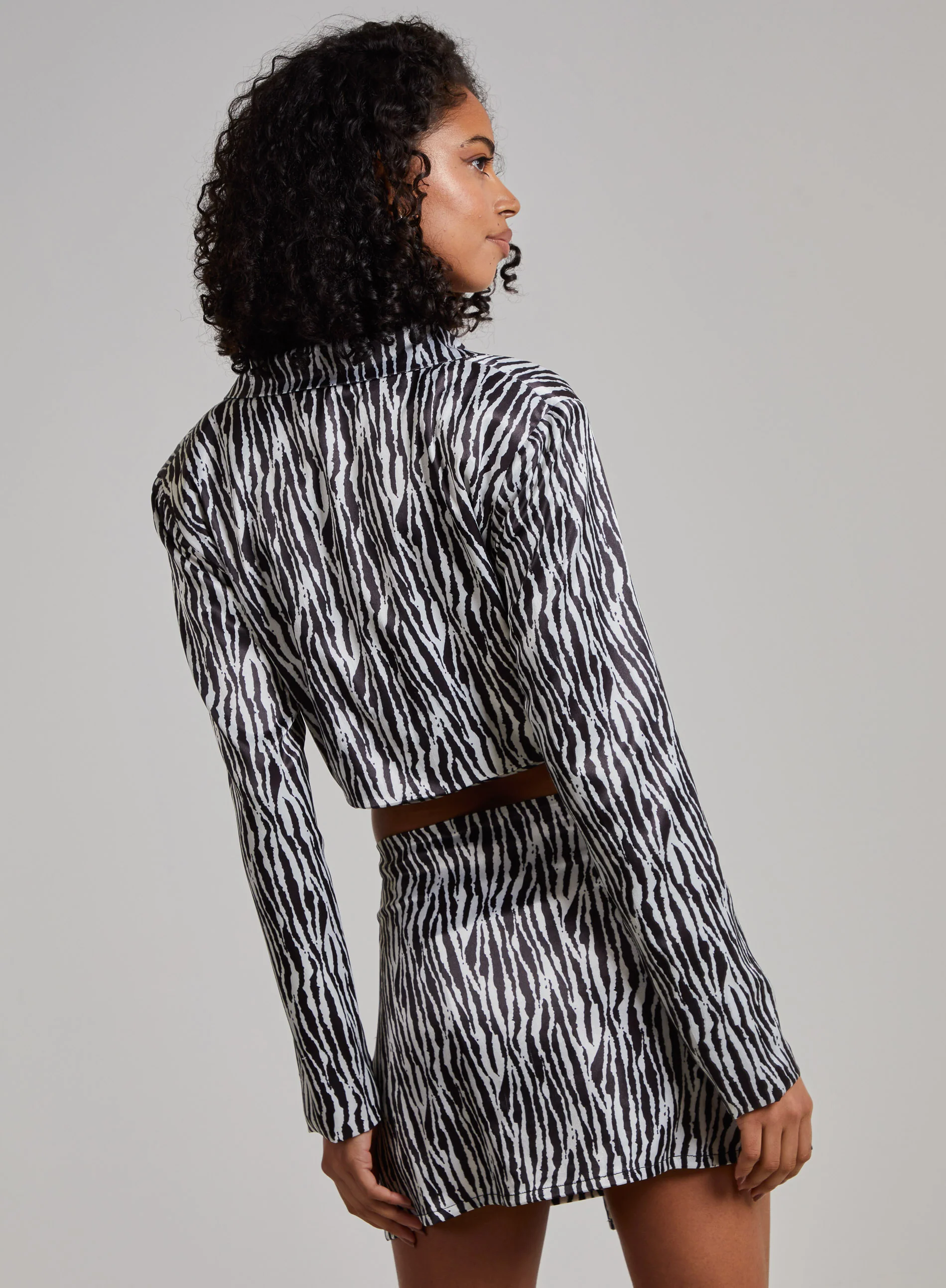 Tie Waist Satin Zebra Crop Top - Image 5