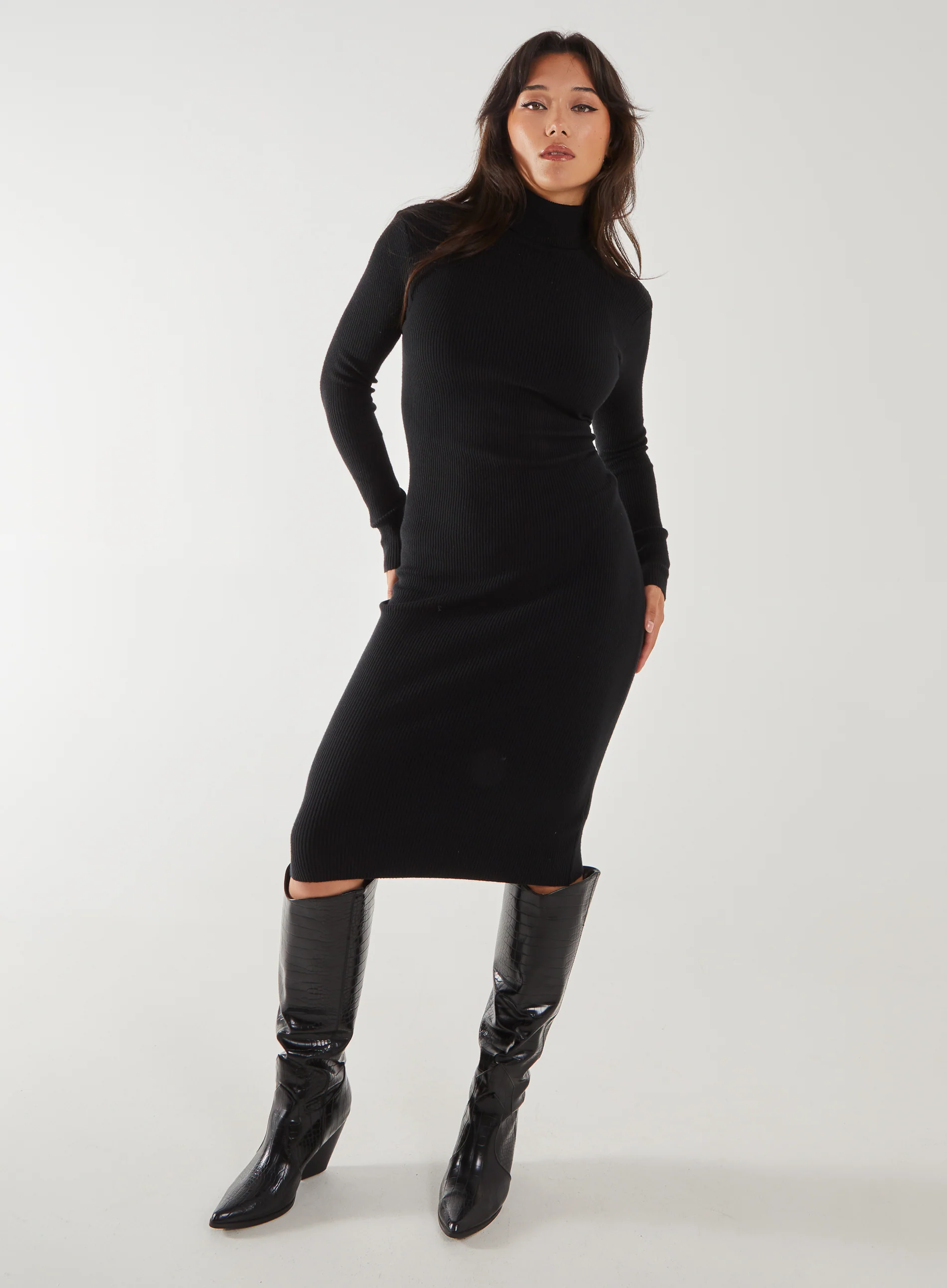 Ribbed Roll Neck Midi Dress