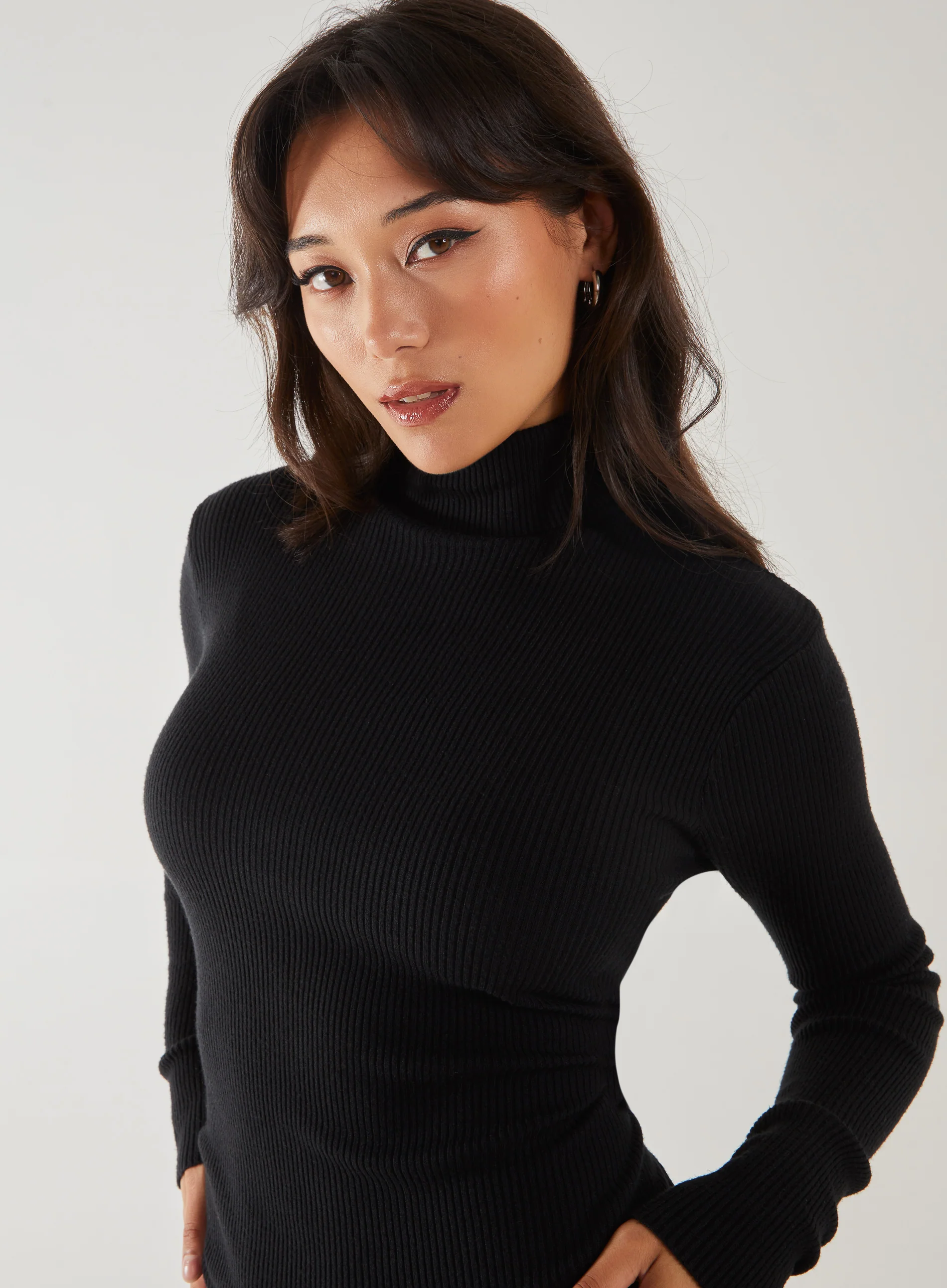 Ribbed Roll Neck Midi Dress - Image 2