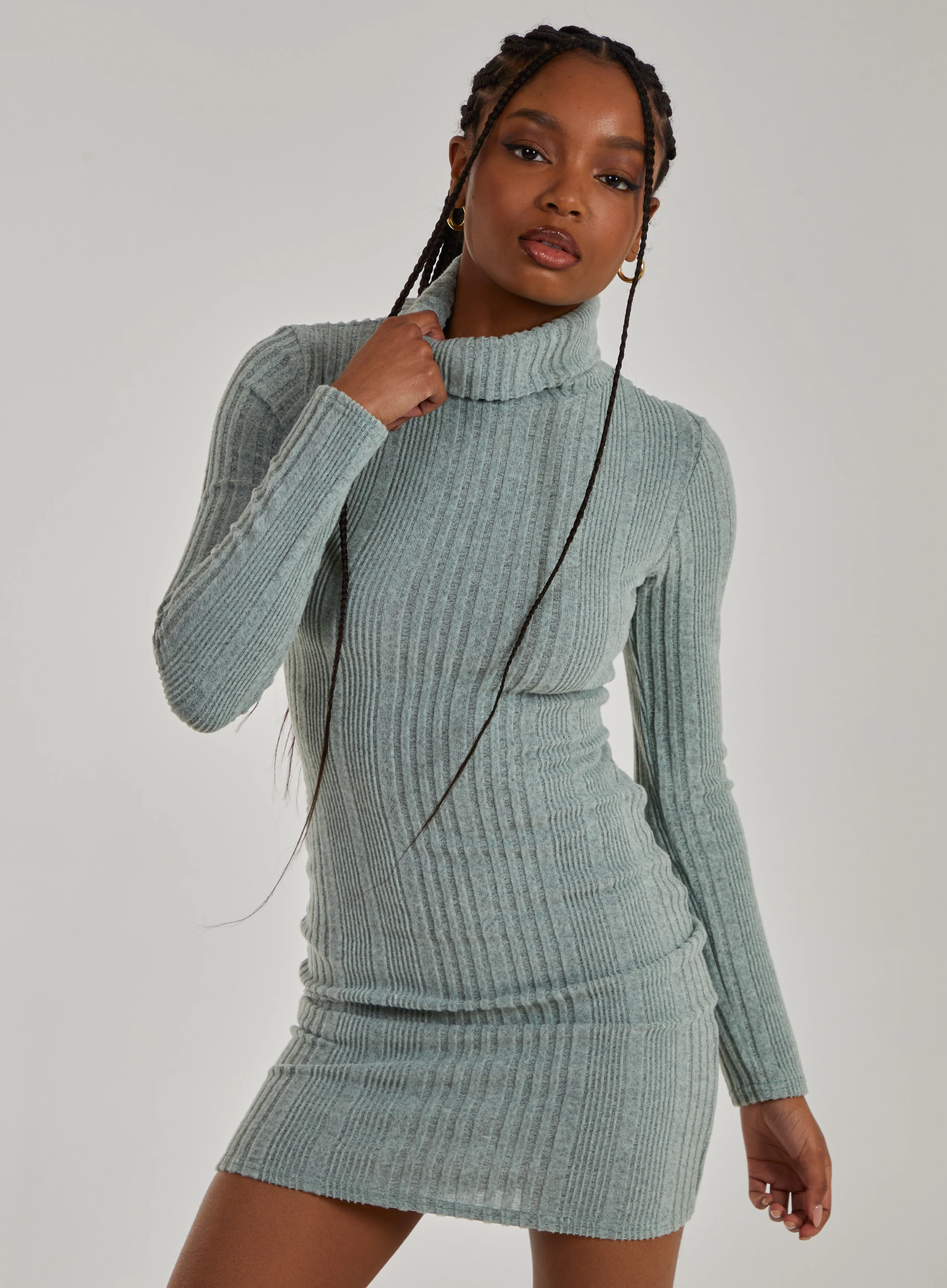Chunky Brushed Rib Roll Neck Dress